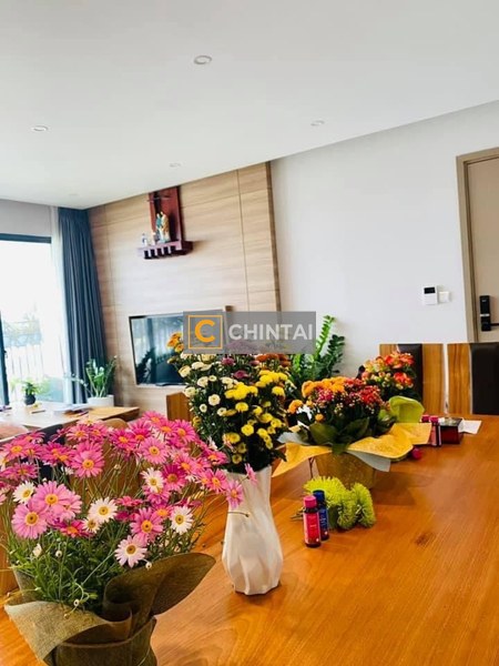 Căn hộ Riviera Point đầy đủ nội thất diện tích 130m².