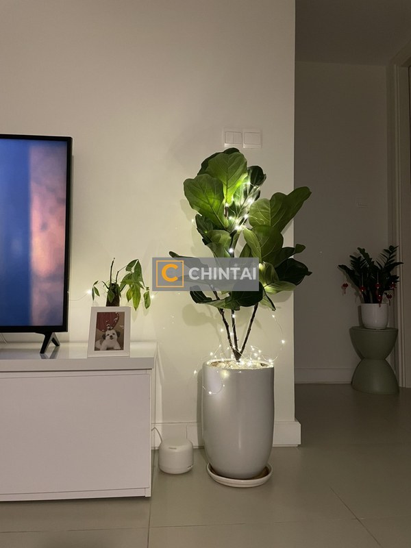 Căn hộ Gateway Thảo Điền hướng Đông Bắc, diện tích 58.39m²