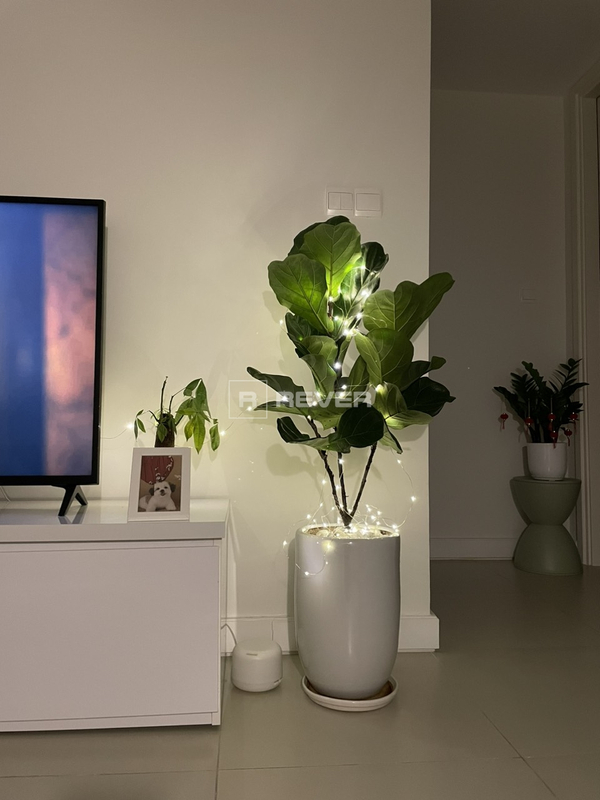 Căn hộ Gateway Thảo Điền hướng Đông Bắc, diện tích 58.39m²